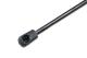 NTY AEAU017 - L=475MM, F=650N AUDI A6 AVANT  05-
