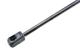 NTY AEAU036 - L=715MM, F=290N AUDI A3 03-12 /HATCHBACK,CABRIO,SPORTSBACK/