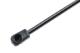 NTY AEAU058 - L=557MM, F=450N AUDI A3 12-  /SPORTBACK/