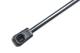 NTY AEHY015 - L=485MM, F=610N HYUNDAI ELANTRA 00-06 /ZE SPOJLEREM/