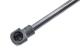 NTY AERE045 - L=302MM, F=640N RENAULT FLUENCE 10-