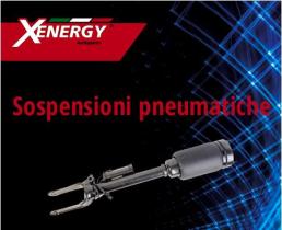 SUSPENSION NEUMATICA  AP XENERGY